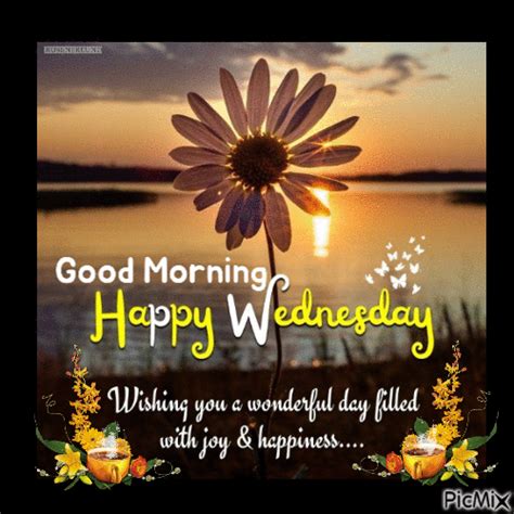 good morning happy wednesday gif